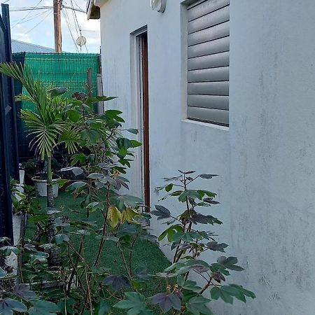 Labe Kaz Kreyol Studio Le Moule Exterior photo